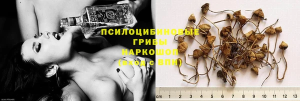 винт Алзамай