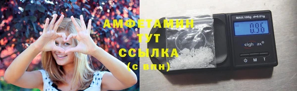 винт Алзамай