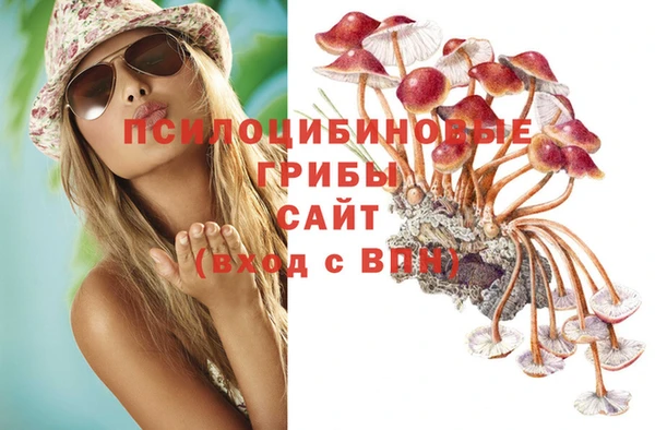 наркотики Алексин