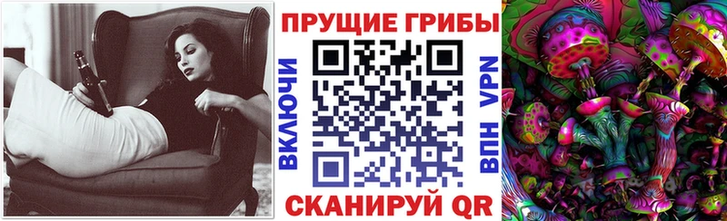 Псилоцибиновые грибы прущие грибы  Сольвычегодск 